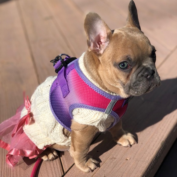 Welcome to my Closet. New Designer items galore - Picture 1 of 1